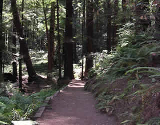 hiking trail